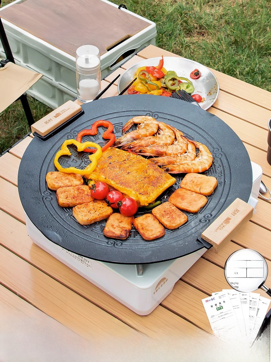 Portable Induction BBQ Grill S - Cooking Outdoor Camping review and price